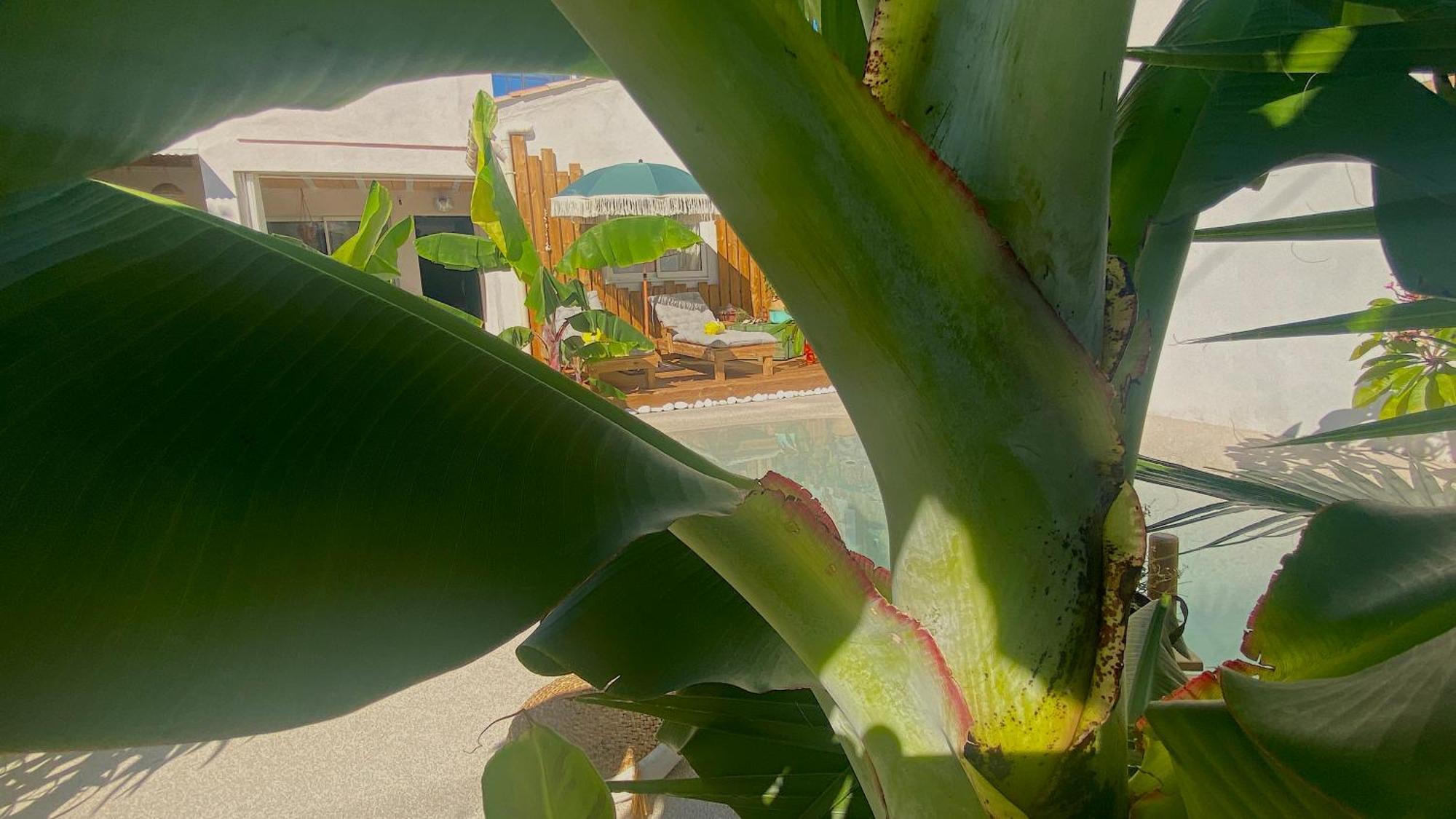 Villa Tropical Narbonne