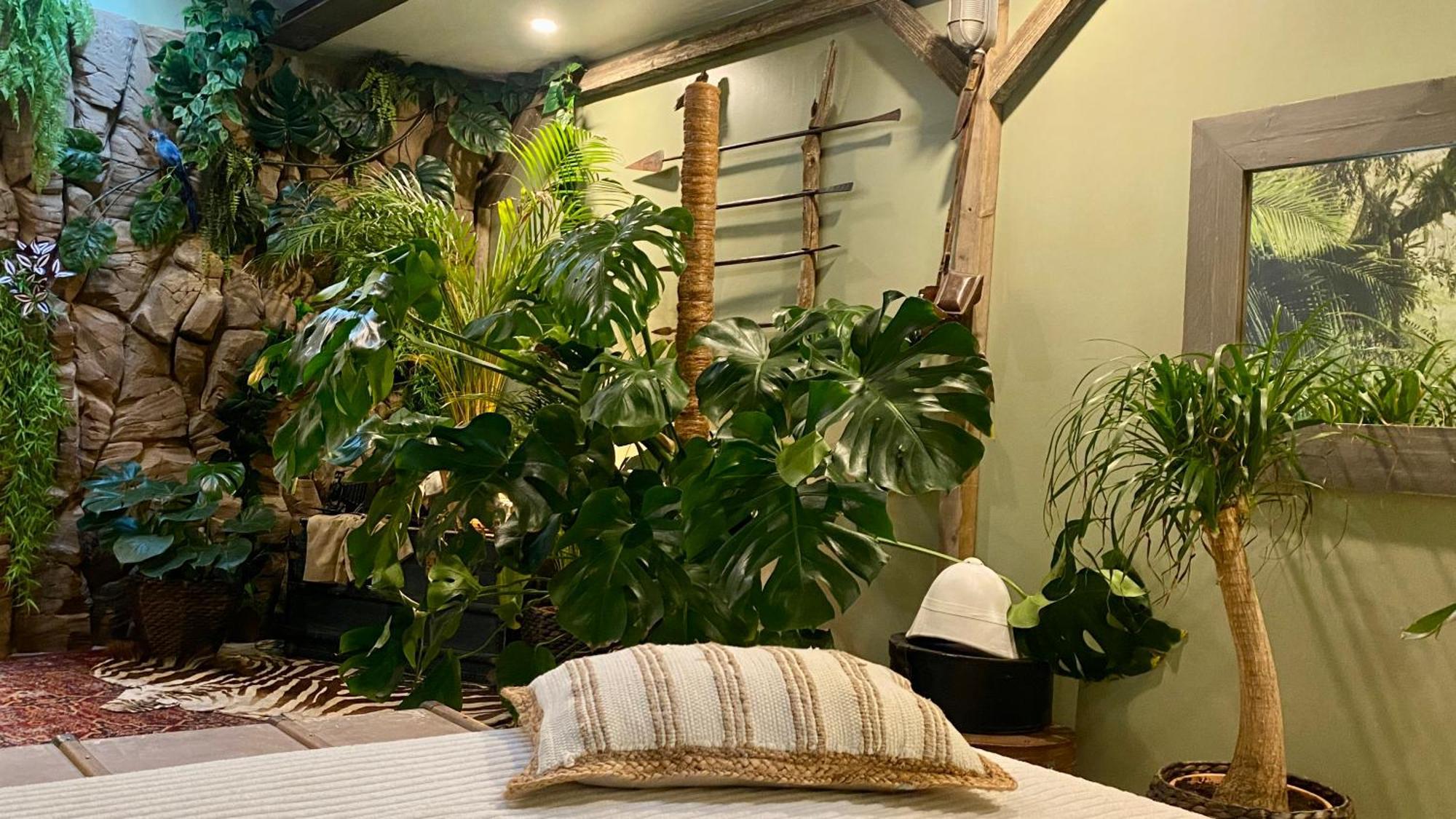 Tropical * Narbonne